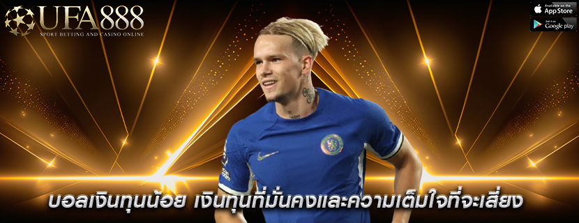 บอลเงินทุนน้อย เงินทุนที่มั่นคงและความเต็มใจที่จะเสี่ยง